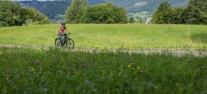 bikes-header